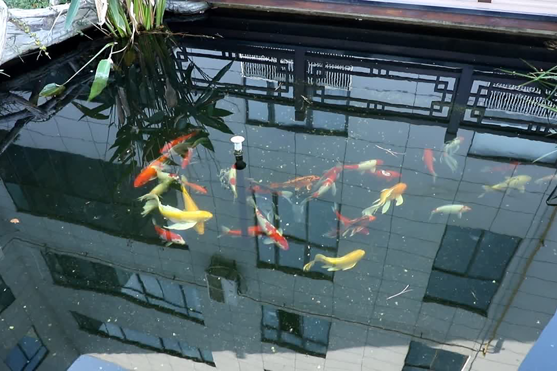 企业风采